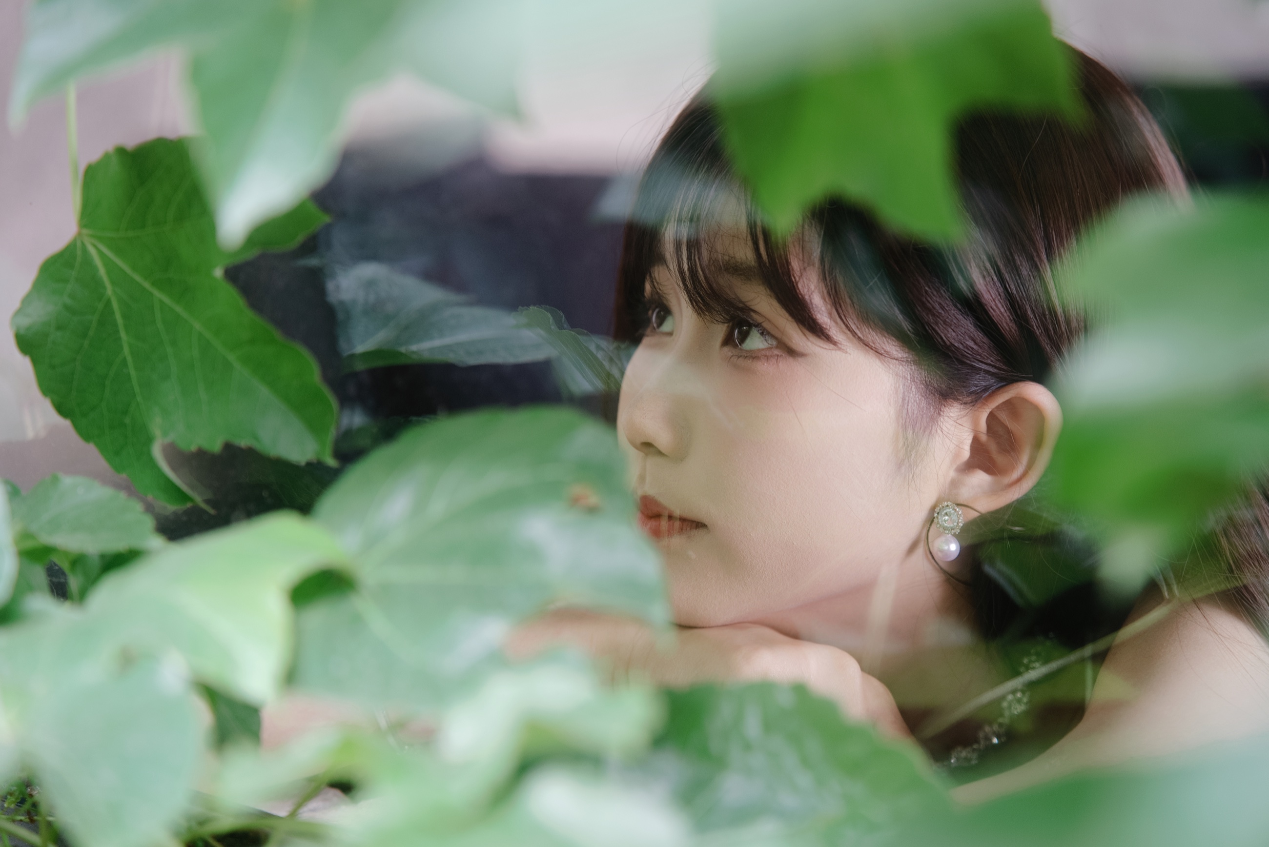 叶间近景人像
